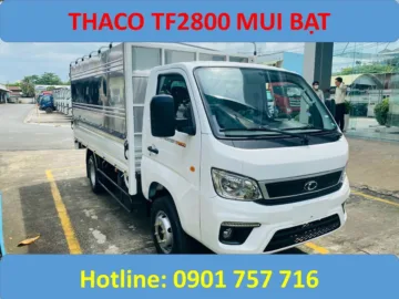 giá tf2800