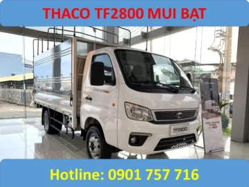 tf2800 bạt