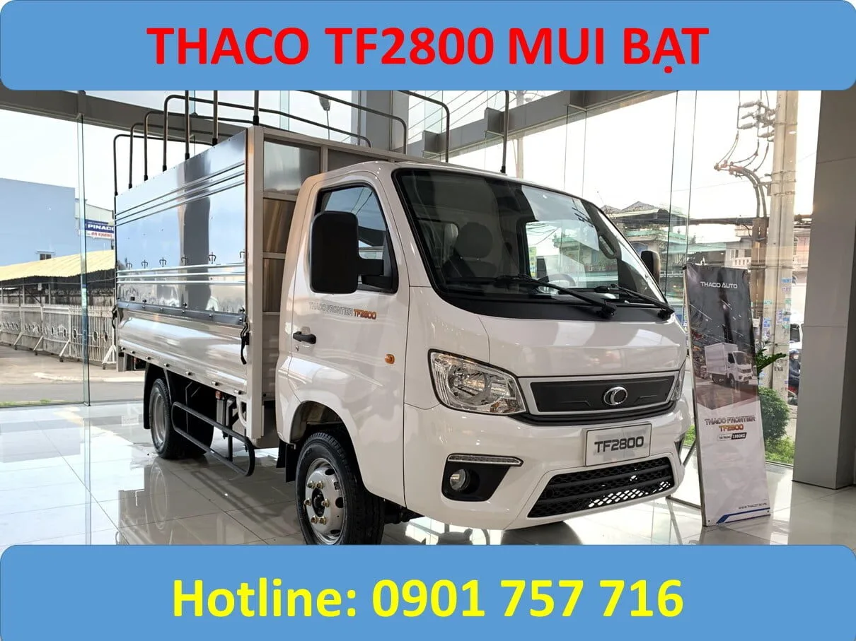 tf2800 bạt