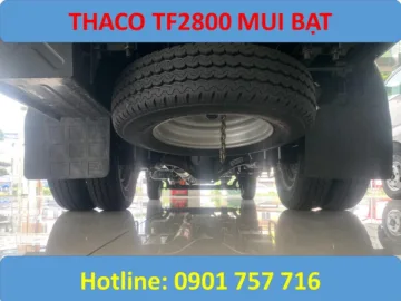 tf2800 bạt
