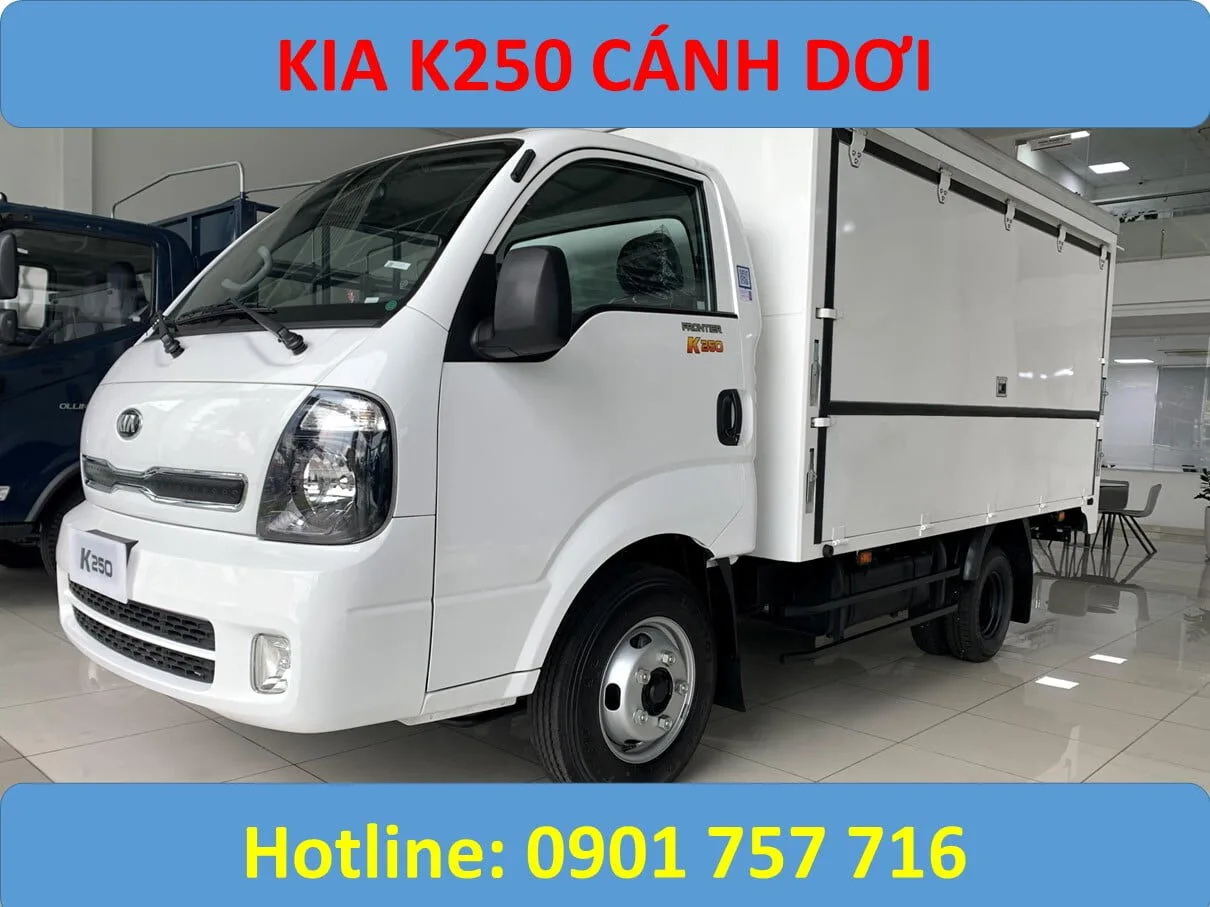 k250 2T5 cánh dơi