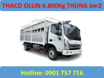 Ollin S720 mui bạt