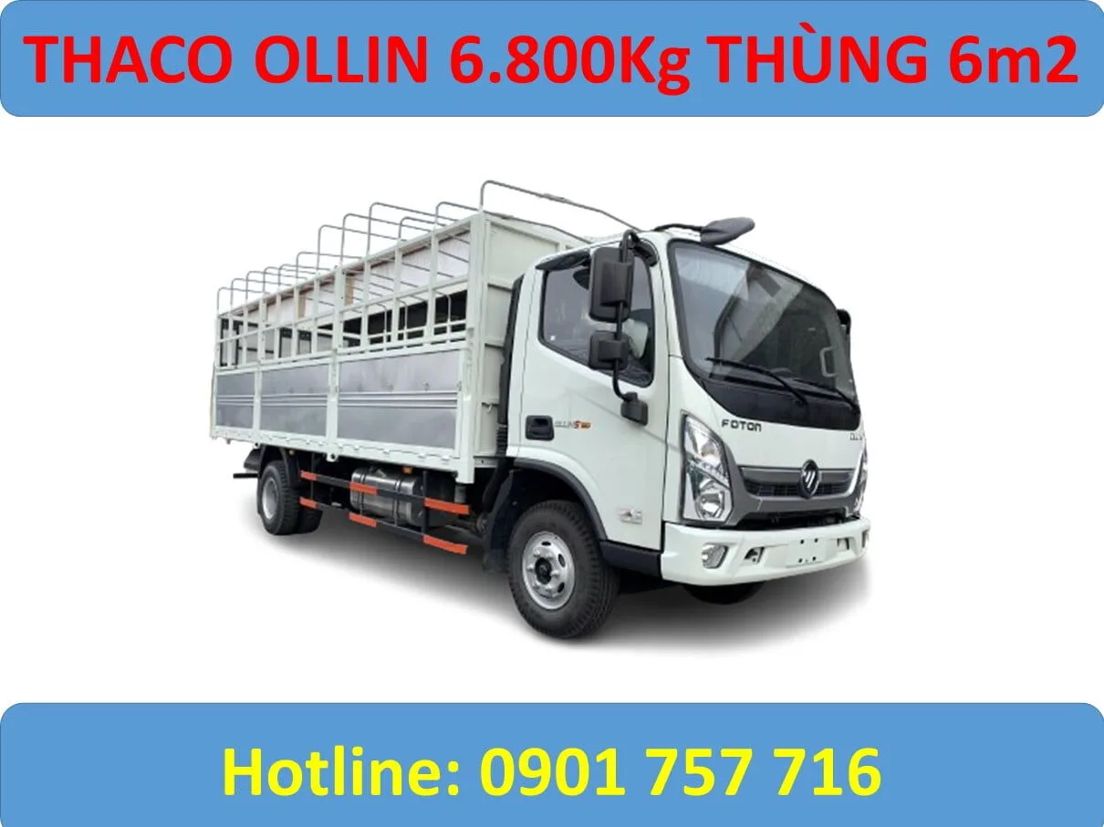 Ollin S720 mui bạt