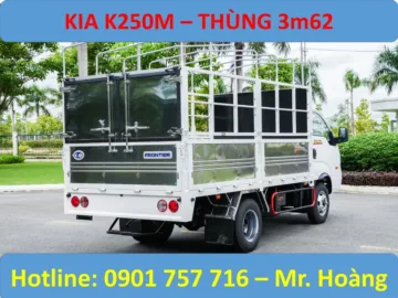 K250M MUI BẠT