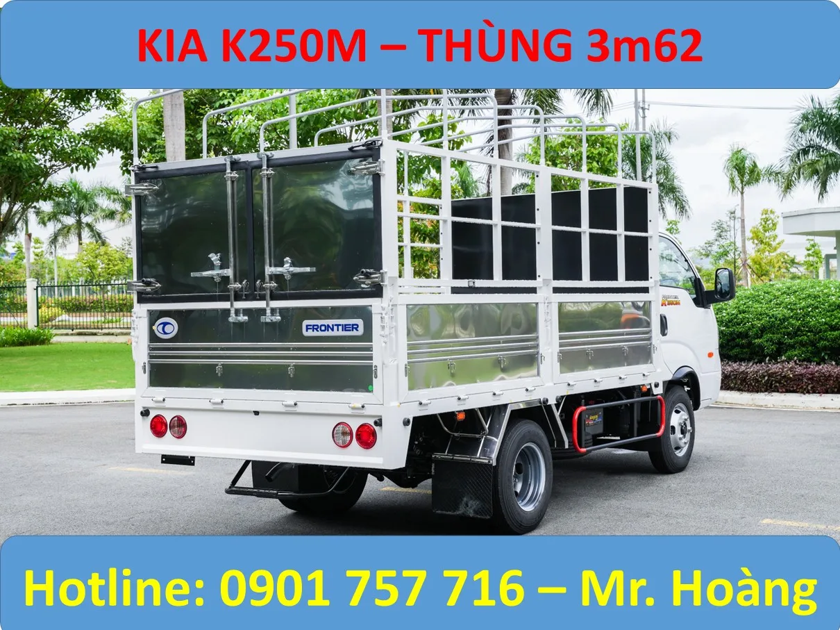 K250M MUI BẠT